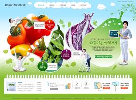 营养家！韩国绿色营养师网页PSD模板下载